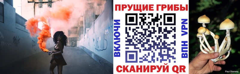 Галлюциногенные грибы Cubensis  нарко площадка формула  Нальчик 